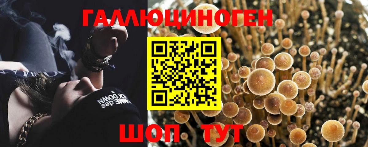Псилоцибиновые грибы MAGIC MUSHROOMS  Вход с VPN  Владикавказ 